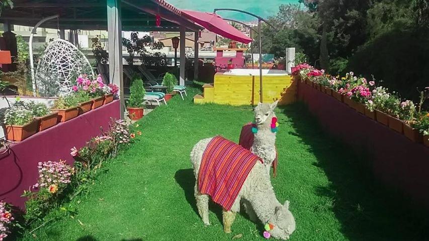 Gatsby Hotel Collection Arequipa Exterior foto
